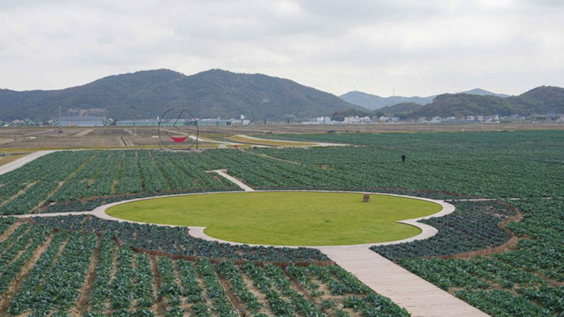 浙農(nóng)科技岱山運(yùn)營項目獲人民日報、新華社、央視等主流媒體關(guān)注